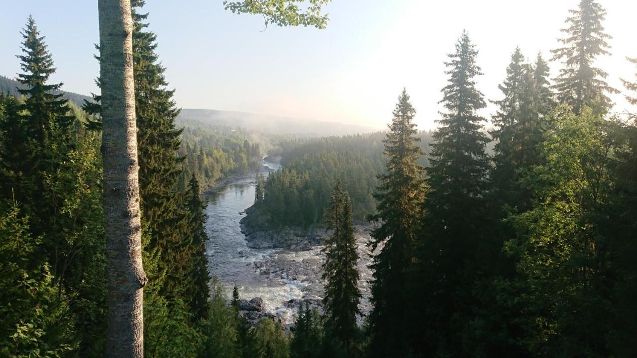 營地 Ristafallets Camping Nyland (Are)